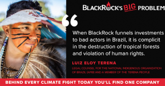 Sign the petition: Demand BlackRock stop financing Amazon destruction!