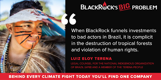 Sign the petition: Demand BlackRock stop financing Amazon destruction!