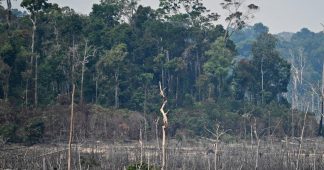 TRIBUNE. “Les incendies en Amazonie ne sont pas de simples feux, c’est l’œuvre du capitalisme”, dénonce le Grand conseil coutumier des peuples amérindiens