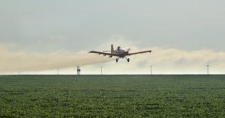 Brazil’s toxic pesticides ‘affecting people all over the world’ through agricultural exports