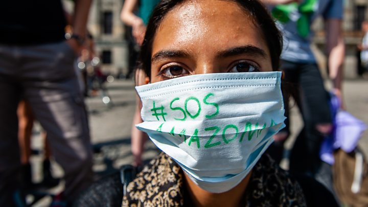 French Declare That Bolsonaro’s Actions within the Amazon are Thought to be Crimes In opposition to Humanity