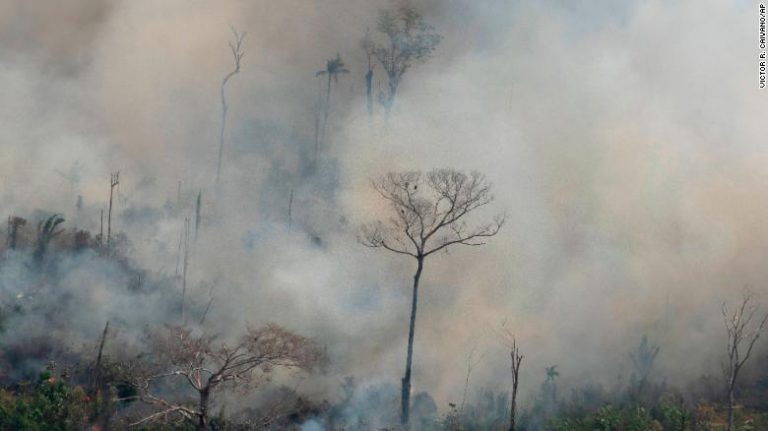 We are facing a global emergency in the Amazon. Here’s what we can do