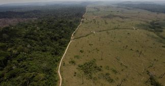 Exterminating the Future: World Outcry Grows as Brazil Rapidly Expands Deforestation of Amazon