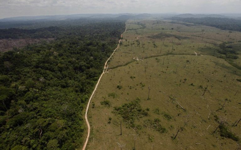 Exterminating the Future: World Outcry Grows as Brazil Rapidly Expands Deforestation of Amazon