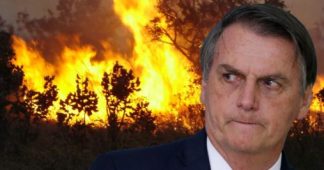 Amazonia in Flames – Brazil’s Bolsonaro is a World Criminal – Encouraging Jungle Burning for Private Exploitation of Freed Land