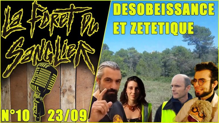 DÉSOBÉISSANCE ET ZÉTÉTIQUE