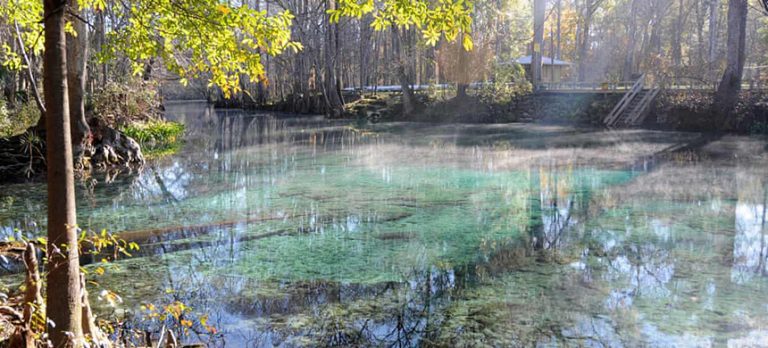 Nestlé Plan to Take 1.1 Million Gallons of Water a Day From Natural Springs Sparks Outcry