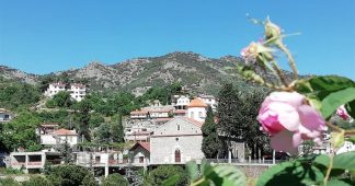‘Gift of nature from Damascus’: Cypriot village smells the roses