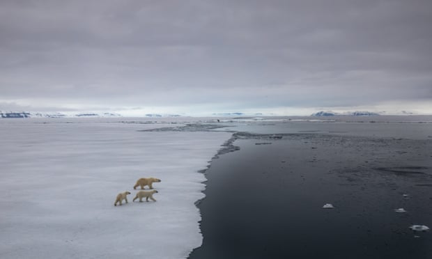 Domino-effect of climate events could move Earth into a ‘hothouse’ state