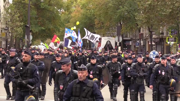 France: Yellow Vests out in force as first anniversary nears