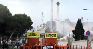 Scandale écologique : L’assemblée maintient l’huile de palme parmi les biocarburants