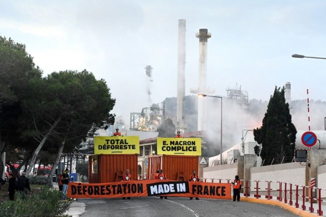 Scandale écologique : L’assemblée maintient l’huile de palme parmi les biocarburants