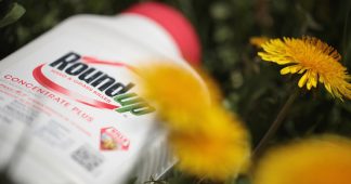 Canada launches major class-action lawsuit against Monsanto’s Roundup & owner Bayer