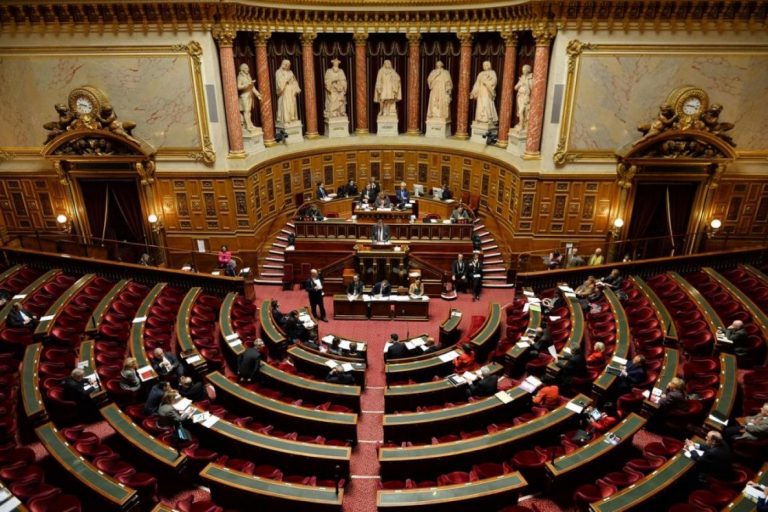 Résolution Maillard: quand Israël manipule la définition de l’antisémitisme et tente de l’imposer en France