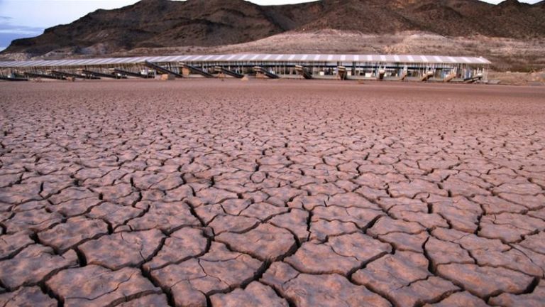 2019 second hottest year in warmest-ever decade: UN