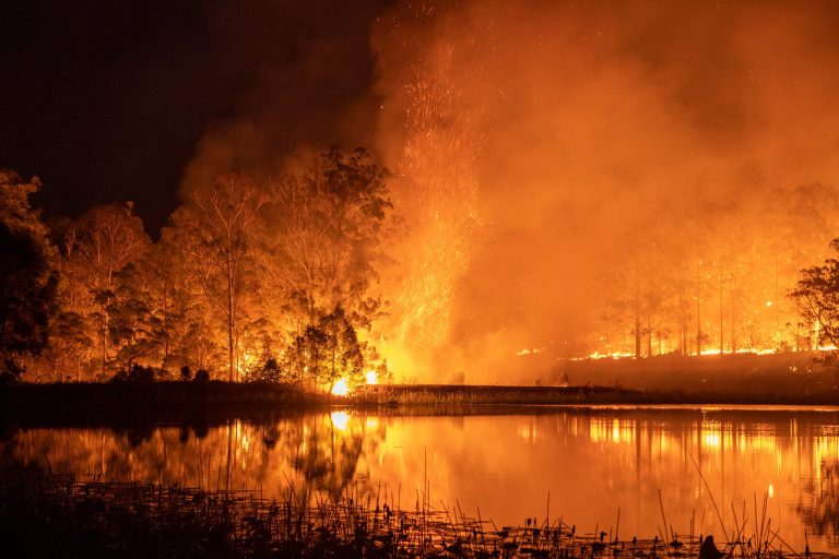 Australia Is Committing Climate Suicide