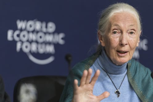 We Should Be Wary of Blaming Overpopulation for the Climate Crisis