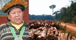 Brazilian Indigenous Leader Davi Kopenawa: Bolsonaro Is Killing My People & Destroying the Amazon