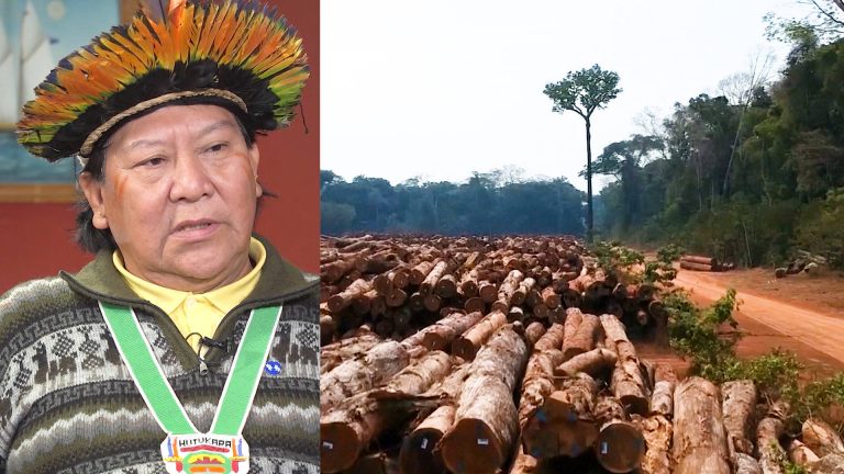 Brazilian Indigenous Leader Davi Kopenawa: Bolsonaro Is Killing My People & Destroying the Amazon