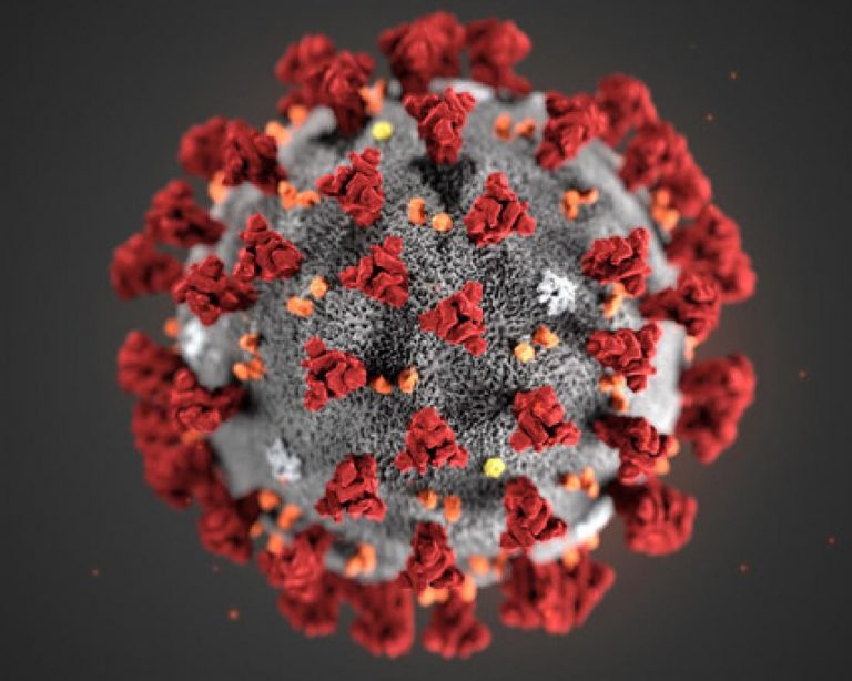 La stratégie «zéro Covid» bousculée par les variants du virus
