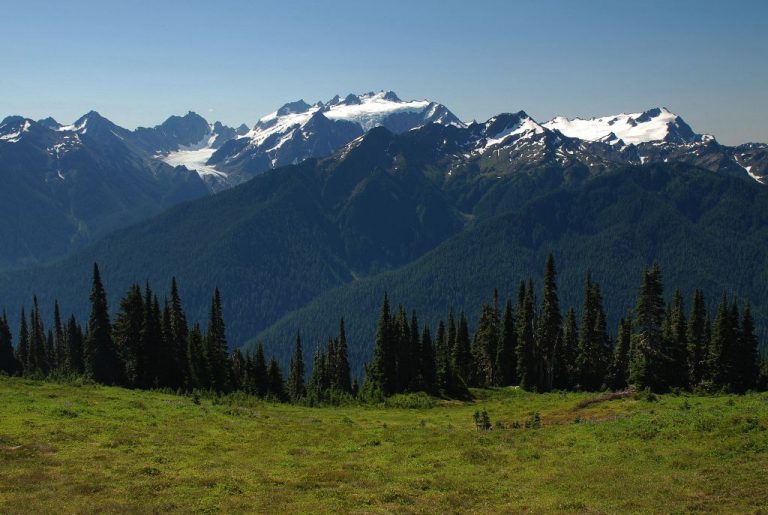 The daughter of Zeus or Privatizing mount Olympus – A Play in One Act