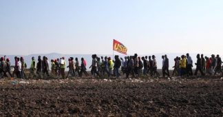 From fields to supermarkets, solidarity with laborers on strike