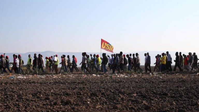 From fields to supermarkets, solidarity with laborers on strike