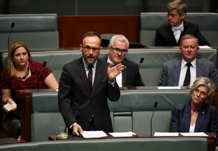 The Australian Greens Must Democratize Their Party Structures