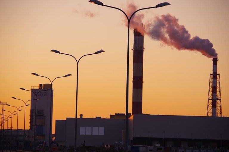 World has six months to avert climate crisis, says energy expert
