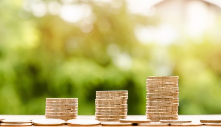 The Debate on Universal Public Income