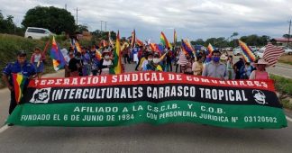 Bolivians reject postponement of elections with massive mobilizations