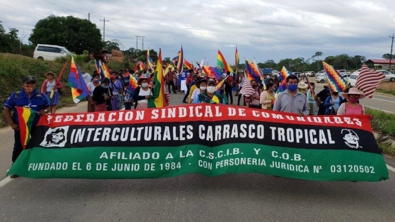 Bolivians reject postponement of elections with massive mobilizations
