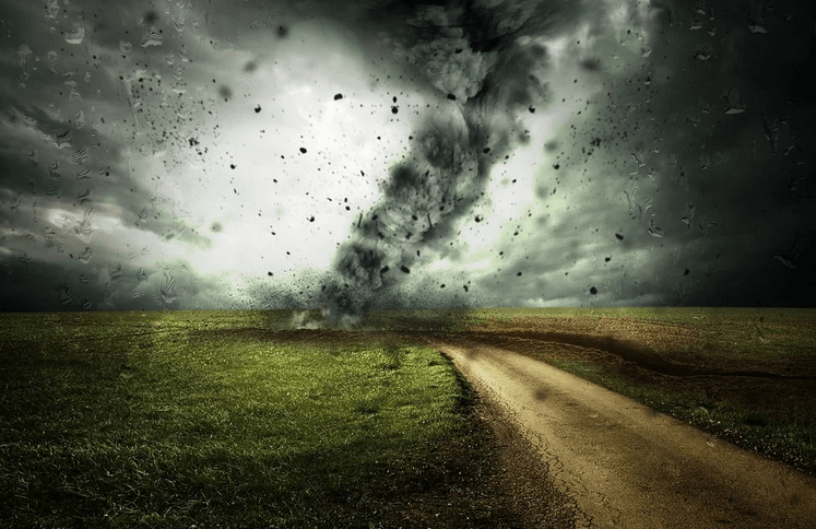 The great unravelling: ‘I never thought I’d live to see the horror of planetary collapse’