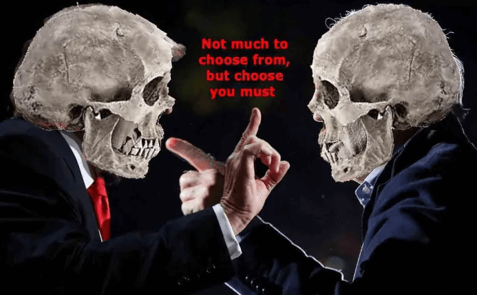 Secret Services and Totalitarianism (Trump vs. Biden)
