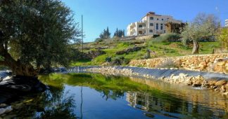 News from the Palestine Institute for Biodiversity and Sustainability at Bethlehem