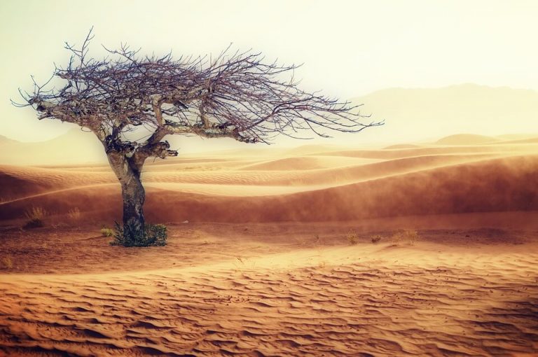 An Outdated Idea Is Still Shaping Climate Policy