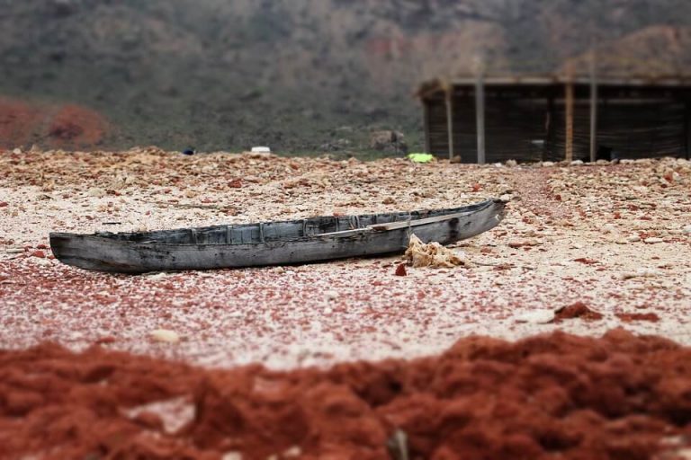 ‘2021 going to be catastrophic,’ UN warned it faces worst crises in its history