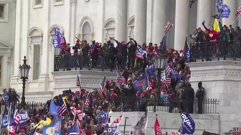 Trump Unleashes Mob to Storm Capitol and Disrupt Functioning of U.S. Government