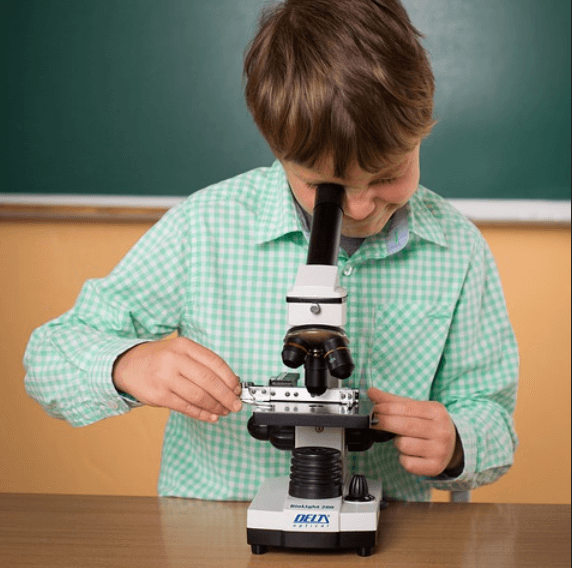 Decline in science attainment among England’s year 9 pupils