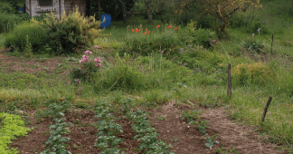 Aux Vaîtes et aux Lentillères, défendre les terres