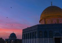 The Palestine Brief: 50 years after they burned al-Aqsa