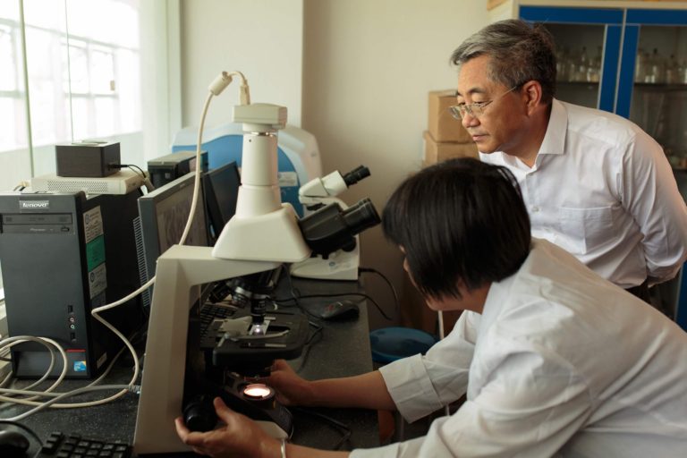 From 30 million cases to zero: China is certified malaria-free by WHO