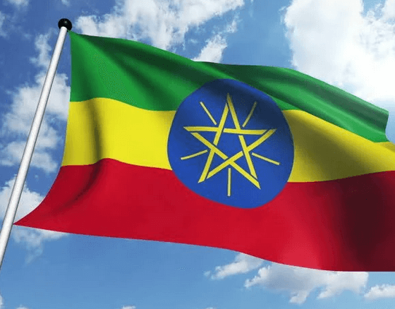 Ethiopia declares ceasefire as rebels retake Tigray capital