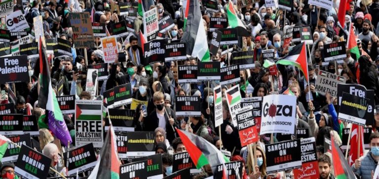 Norman Finkelstein: Truth and Justice Are the Ultimate Test, Not International NGOs