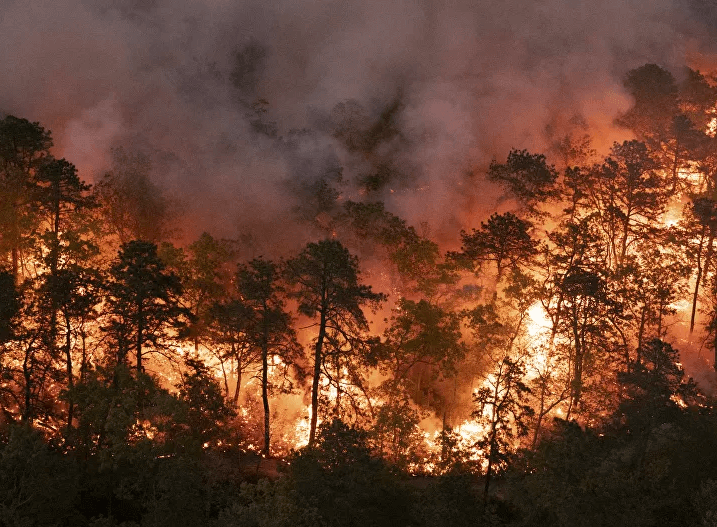 ‘Embarrassing’: Green Politician Blames Norway for Deadly Heat Wave in North America