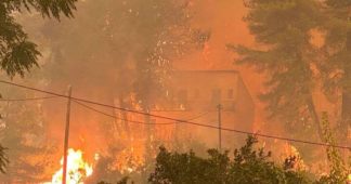 Limni Resident Describes Hours of Greek Inferno as Evia Fire Rages