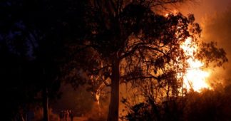 Wildfires roar back to life near Athens as heat fans flames