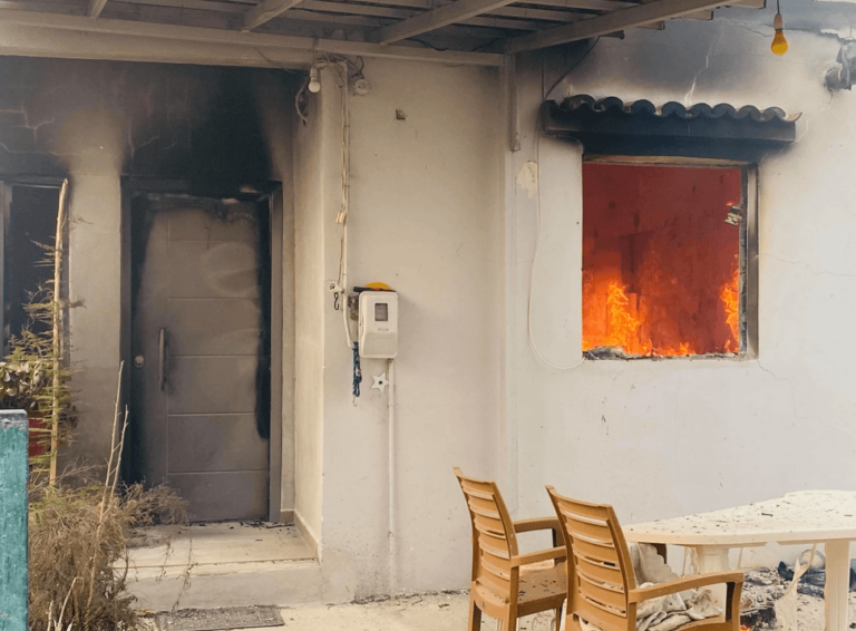 Tragic Stories of Those Who Lost Everything in Evia Fire