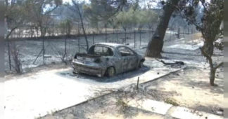 Incendies en Grèce : Varympompi, le poumon d’Athènes dévasté