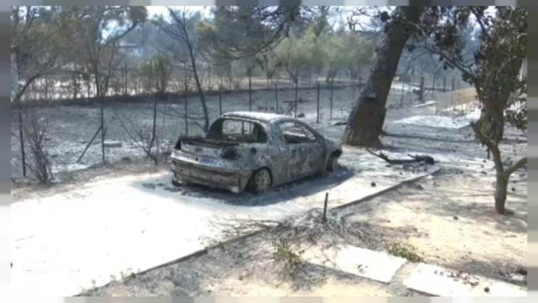Incendies en Grèce : Varympompi, le poumon d’Athènes dévasté